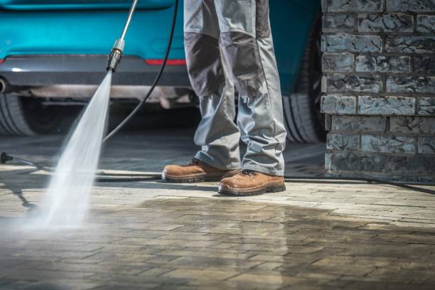 Animal Enclosure Cleaning in Englewood, FL